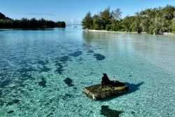  Tahiti, Moorea, Bora Bora : Vivian Roost offre des concerts "presque cinématographiques"