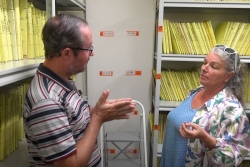 Le "duo day", une journée au travail avec un binôme en situation de handicap