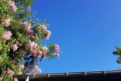 La Réunion : 32 °C au bord du lagon de l'Ermitage, 31 à Saint-Pierre