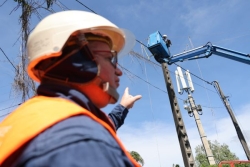 Avant la saison cyclonique, EDF termine ses opérations d’élagage pour protéger son réseau électrique