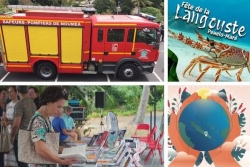 L’agenda sorties du 28 novembre au 4 décembre 2025 : salon des auteurs, portes ouvertes chez les pompiers, fêtes locales, nature ou marchés