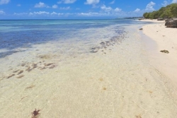 Saint-François : les activités nautiques autres que la baignade, interdites sur la plage de la Coulée