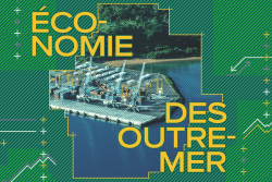 Vie chère, agriculture... Quand l’innovation dessine l’avenir des Outre-mer