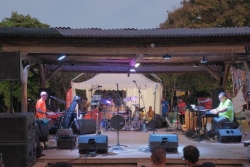 Jazz an ba Tol’ 2025 : l'événement pluri-artistique met les bassistes à l'honneur au François