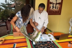 VIDEO. Un jardin en hommage aux anciens esclaves au Trocadero à Paris