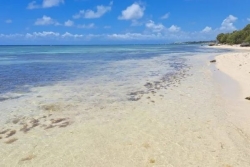 Plage de la Coulée à Saint-François : le maire renonce à interdire les activités nautiques