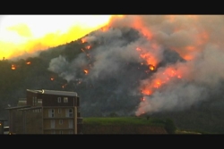 Vidéo. Des feux de forêt moins nombreux, mais des conséquences toujours gravissimes