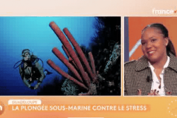 La plongée sous-marine pour lutter contre le stress
