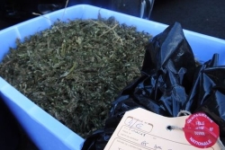 Deux Mauriciens interpellés avec 48 kilos d’herbe de cannabis, à Saint-André