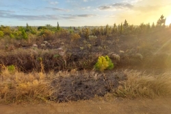 Un incendie à l'Île des Pins aux abords de la tribu de Kéré