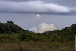 Guyane : le centre spatial reconnu coupable de destruction d'espèces protégées