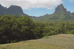 Pyrénées-Orientales : leur maire s'installe à Moorea sans démissionner de son mandat