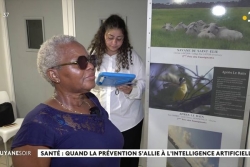 VIDÉO. Santé : quand la prévention s'allie à l'intelligence artificielle auprès des seniors