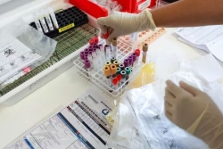 66% des Réunionnais sont immunisés contre le chikungunya