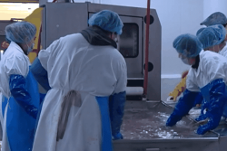 VIDÉO. "On savait bien que ça allait se terminer" : les salariés d’A Mare Labor face à la fin de l’usine de Miquelon