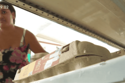 Vous ne trouvez pas d'œufs dans les étals ? Normal, 40% de la production est à l'arrêt