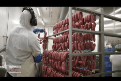 Les Nouveaux Défis: les charcuteries de Noël, une fabrication sous contrôle 