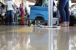 Quels fruits et végétaux peut-on mettre dans la valise pour les fêtes de fin d’année ?