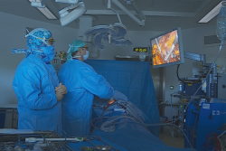 Les opérations de greffe rénale sont suspendues en Polynésie