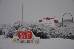 Un programme chargé pour l'édition 2025 du Téléthon