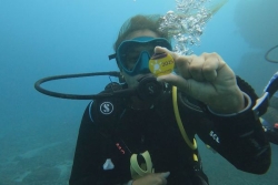 Téléthon 2025 à La Réunion : un relais de 24h de plongée organisé au Cap Lahoussaye