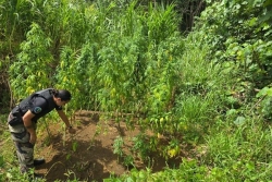 Opération Matai Rorofai : 320 gendarmes mobilisés contre les trafics de stupéfiants en Polynésie