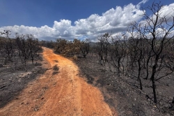 Sur l’île des Pins comme à Koumac, les feux évoluent dans le bon sens