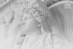 Les députés adoptent le nouveau "statut de l'élu local" à moins de trois mois des élections municipales