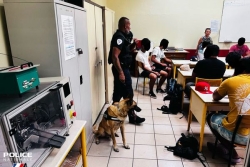 Opération antistupéfiants 5 élèves du lycée Diadème trouvés en possession de cannabis