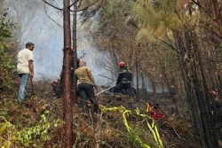 À l'Île des pins et à Koumac : les incendies font l'objet d'une "surveillance accrue" malgré une évolution favorable