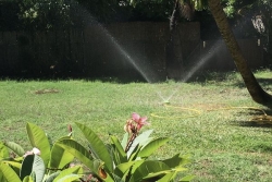 La Réunion concernée par des restrictions d’usage de l’eau