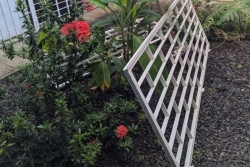 Actes de vandalisme au collège de Grand Camp aux Abymes : les autorités expriment leur indignation