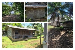 Sur les traces des saamaka de Tampak : un retour aux sources sur l’Oyapock