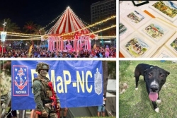 L’agenda sorties du 12 au 18 décembre 2025 : Féérie de Noël, Salon des antiquités, Rimap, cirque ou animaux