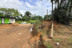 L’enfant de 5 ans blessé après la chute d’un palmier awara est décédé