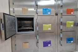 Que devient le corps de la ressortissante australienne présent à Mayotte depuis une semaine ?