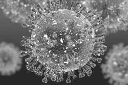 La grippe s’installe en Guyane : un décès et plusieurs cas graves recensés