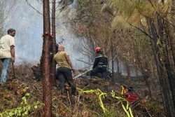 La Nouvelle-Calédonie touchée par d'importants feux de forêt