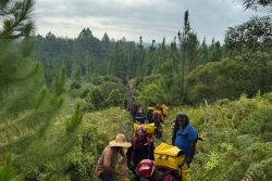 Les incendies de l'île des Pins et de Koumac sont maîtrisés