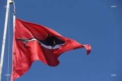 Un requin tigre observé sur le spot des brisants à l’Etang-Salé