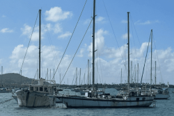 VIDEO. Menace environnementale : un voilier à l’abandon menace de couler dans la baie du Marin