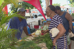 À l’approche du réveillon, les marchés de Noël se multiplient en Martinique