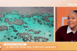 Samy la miraculée échappe aux filets des braconniers