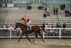 Les pronostics du Quinté de Pau du 16 décembre 2025 par Jack Vautrin