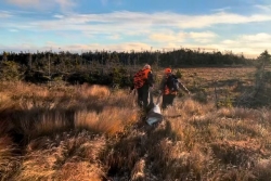 Chasse aux chevreuils : une saison 2025 satisfaisante à Saint-Pierre-et-Miquelon