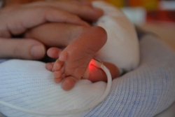 Baisse de la natalité en Guadeloupe : 11,9% entre 2023 et 2024