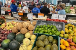 Au Tampon, des agriculteurs mobilisés contre l'accord de libre-échange avec le Mercosur et pour la défense de la production locale