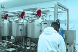 En Guyane, une micro-laiterie fait le pari du bio et de local