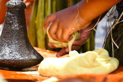 Festival des Marquises 2025 : le Kaaku, une symbolique que les oreilles chastes ne soupçonnent pas