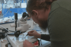 Il a découvert seize nouvelles espèces d'araignées dans le but de “mieux comprendre, protéger et gérer notre environnement” 